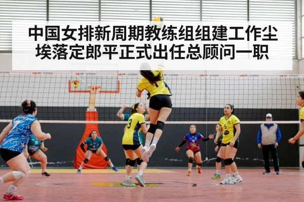 中国女排新周期教练组组建工作尘埃落定郎平正式出任总顾问一职