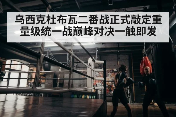 boxer training